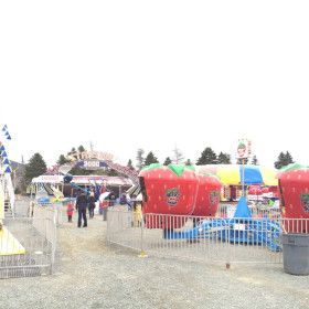 Berry Go Round